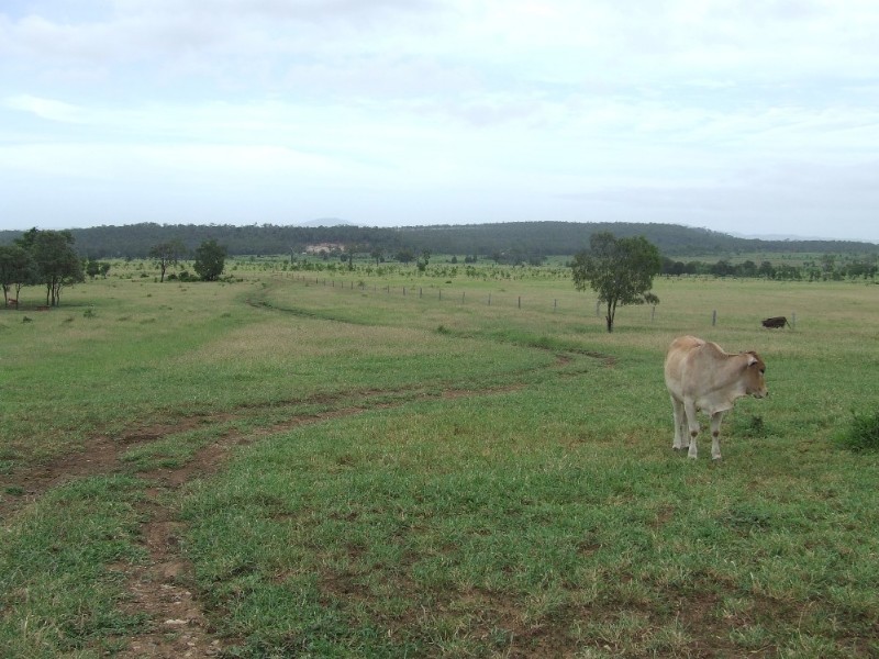 Westwood QLD 4702