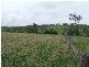 Westwood QLD 4702
