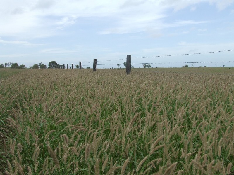 Westwood QLD 4702
