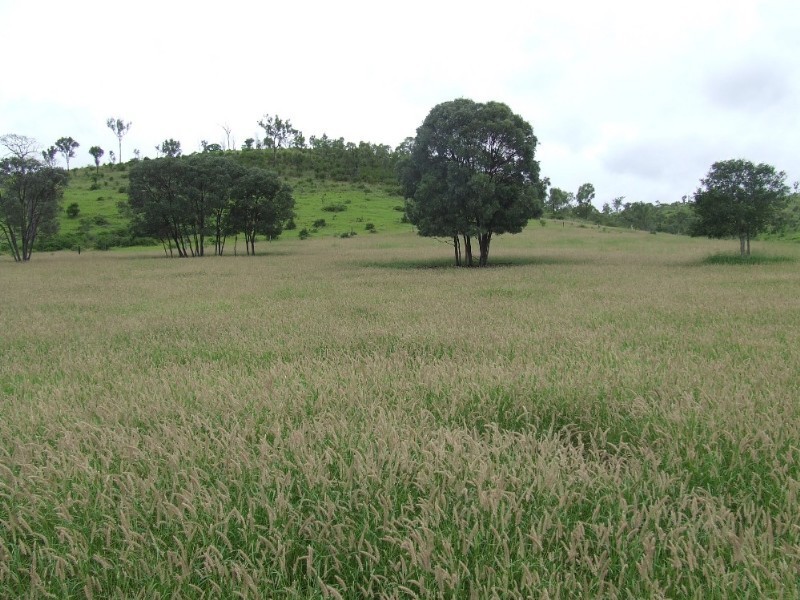 Westwood QLD 4702