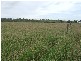 Westwood QLD 4702