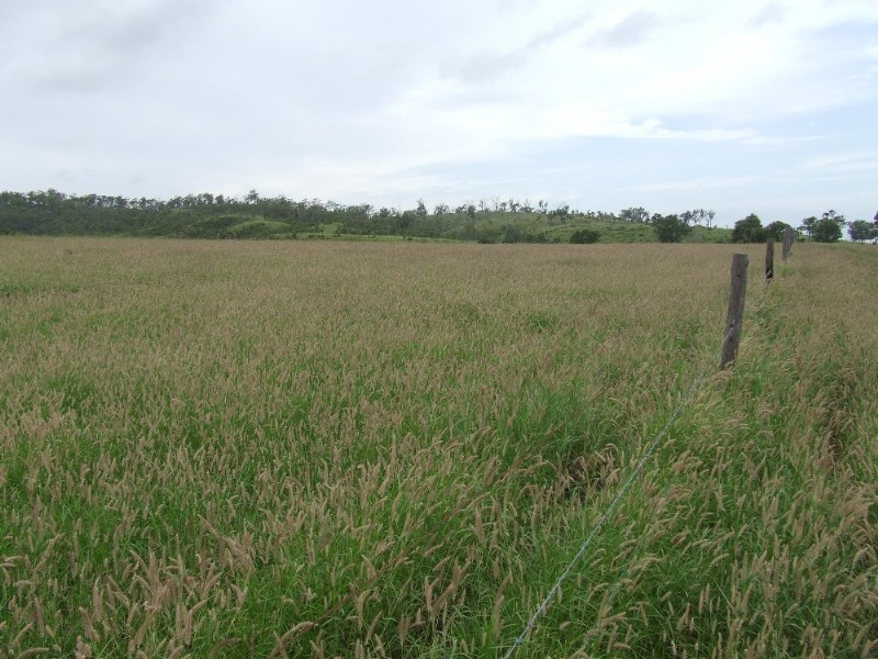 Westwood QLD 4702