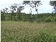 Westwood QLD 4702