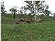 Westwood QLD 4702