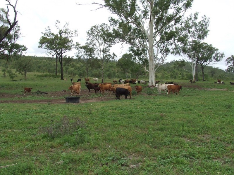 Westwood QLD 4702