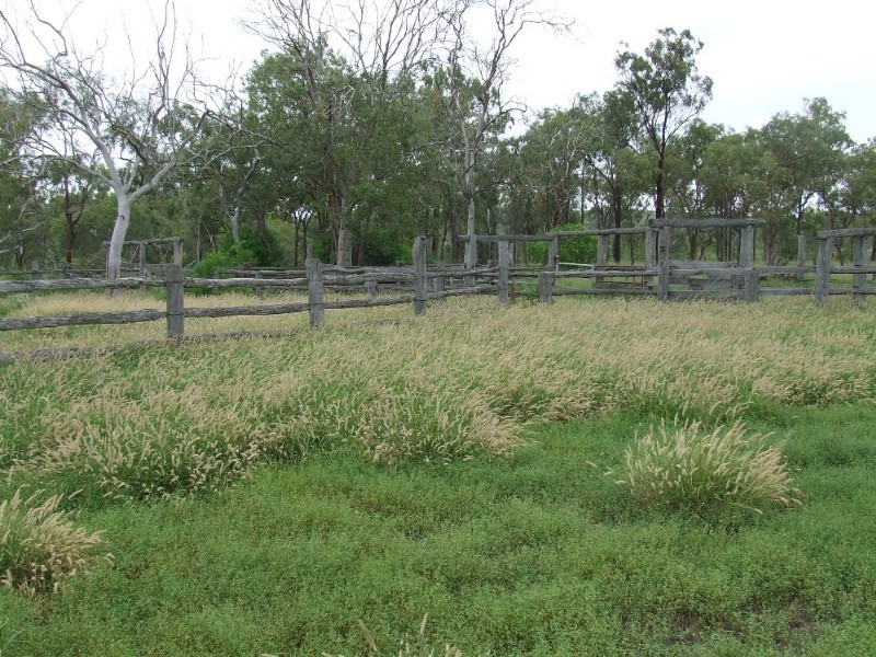 Westwood QLD 4702