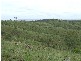 Westwood QLD 4702