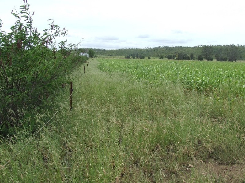 Westwood QLD 4702