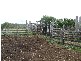Westwood QLD 4702