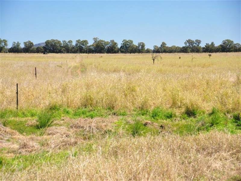 “Wirranda” Rydings Road, Moura QLD 4718