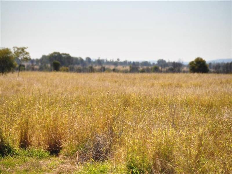 “Wirranda” Rydings Road, Moura QLD 4718