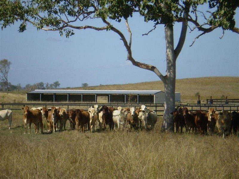 48 Thompson Point Road, Nankin QLD 4701