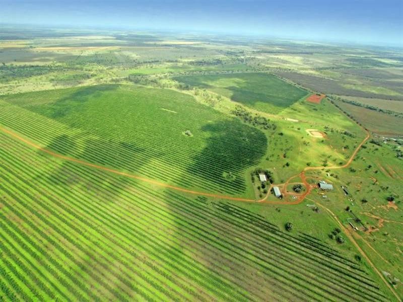 Kui Downs Gregory Highway, Emerald QLD 4720