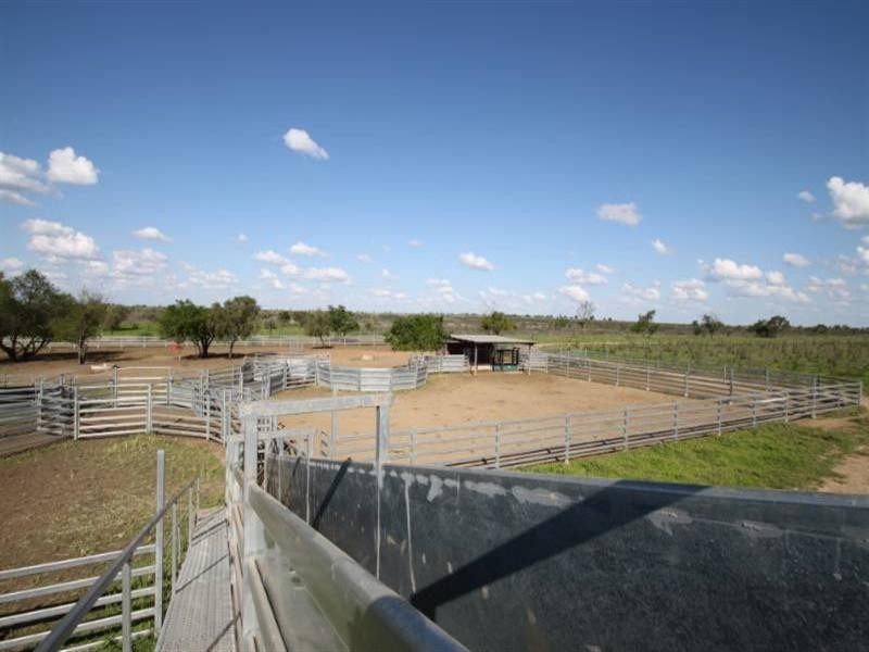 Kui Downs Gregory Highway, Emerald QLD 4720