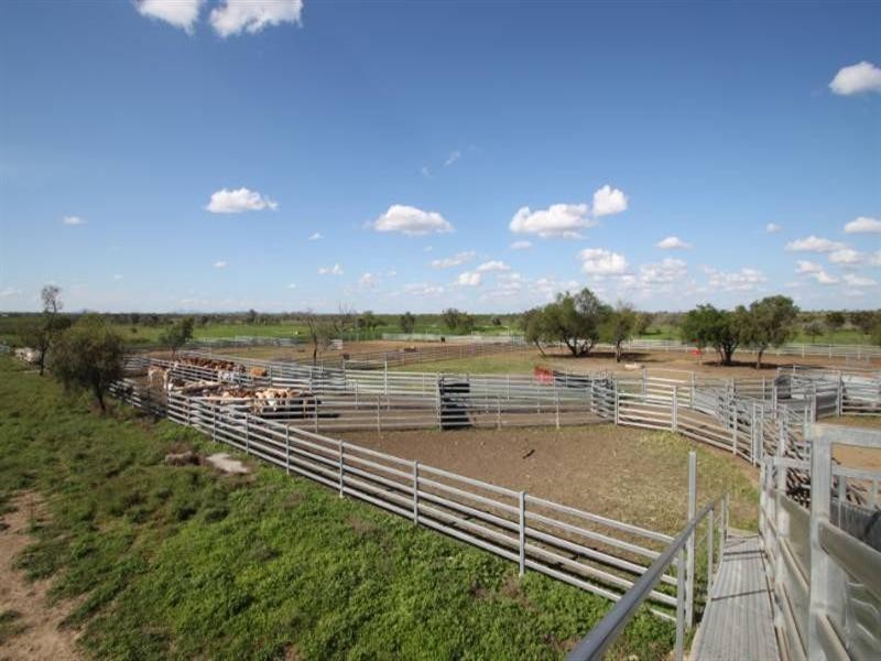 Kui Downs Gregory Highway, Emerald QLD 4720