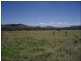 Lot 215 Bartlem Road, Westwood QLD 4702
