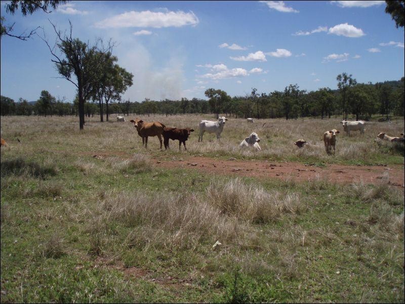 Lot 215 Bartlem Road, Westwood QLD 4702