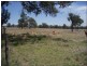 Lot 215 Bartlem Road, Westwood QLD 4702