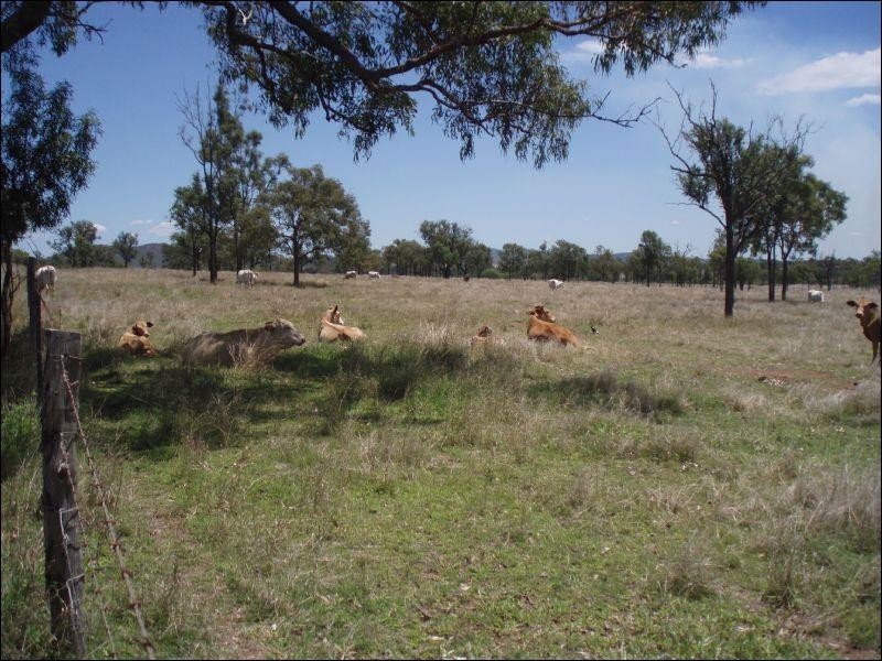 Lot 215 Bartlem Road, Westwood QLD 4702