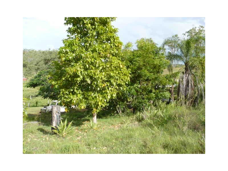 140 Plentiful Creek Road, Milman QLD 4702