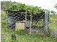 140 Plentiful Creek Road, Milman QLD 4702