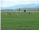 Boynedale QLD 4680