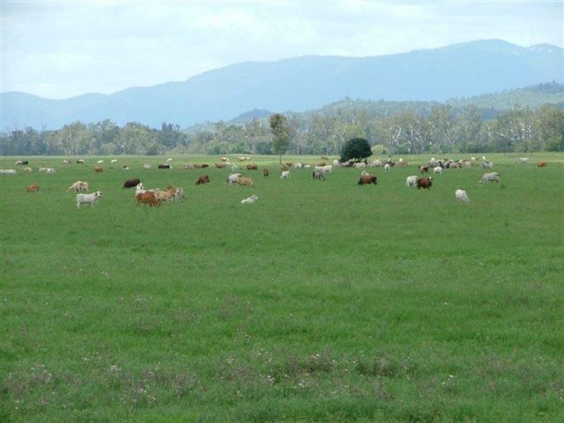Boynedale QLD 4680