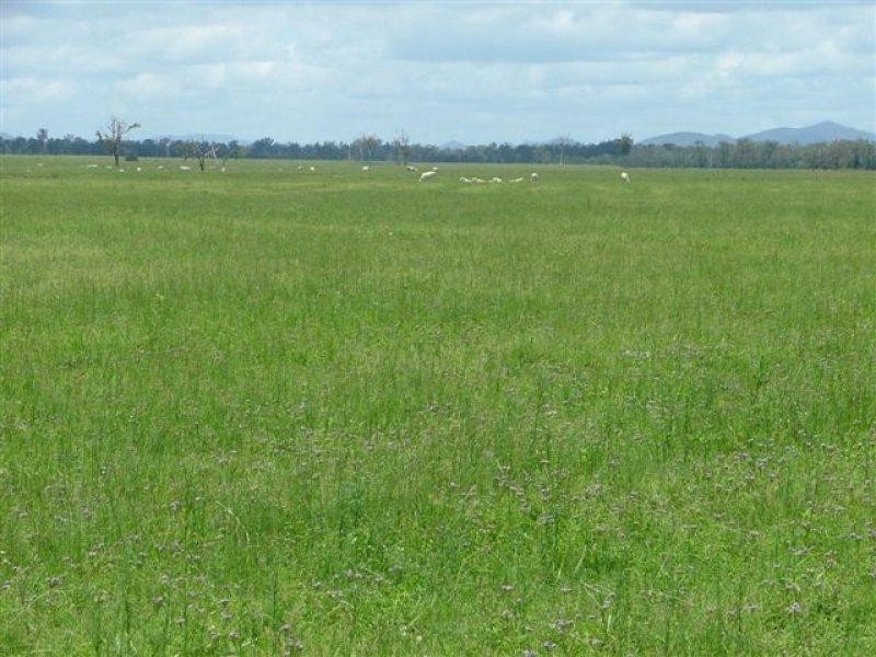 Boynedale QLD 4680