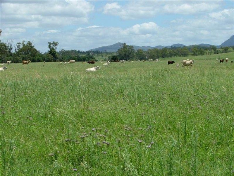 Boynedale QLD 4680