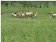 Boynedale QLD 4680
