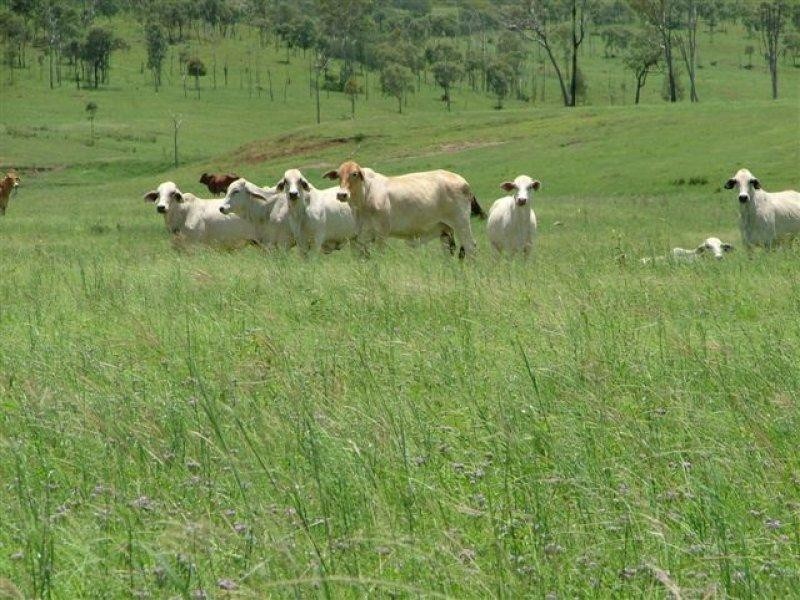 Boynedale QLD 4680