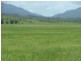 Boynedale QLD 4680