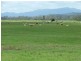Boynedale QLD 4680