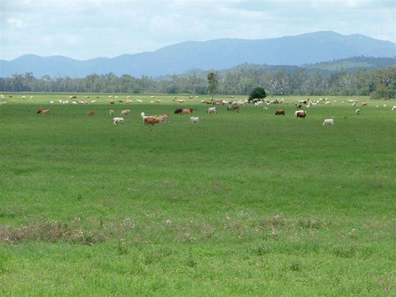Boynedale QLD 4680