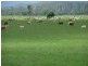 Boynedale QLD 4680