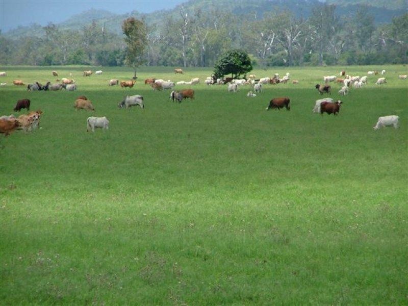 Boynedale QLD 4680