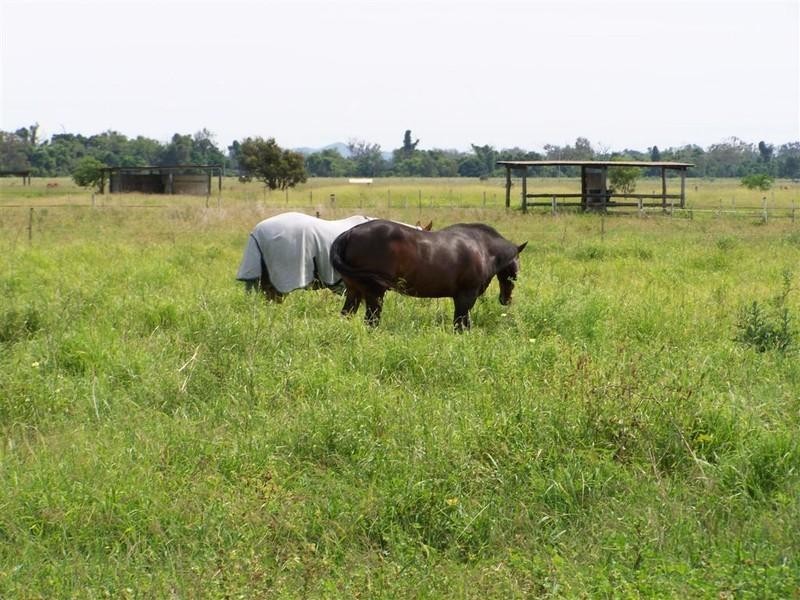 304 Kelly Road, Gracemere QLD 4702