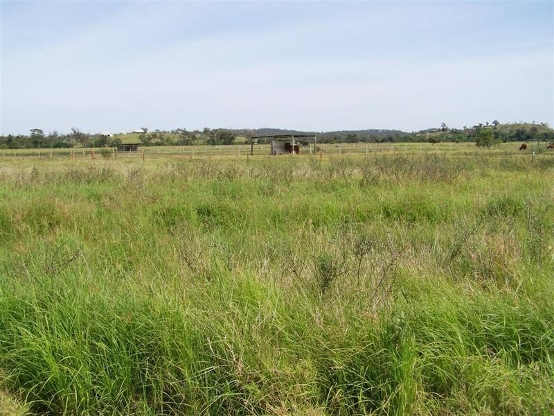 304 Kelly Road, Gracemere QLD 4702