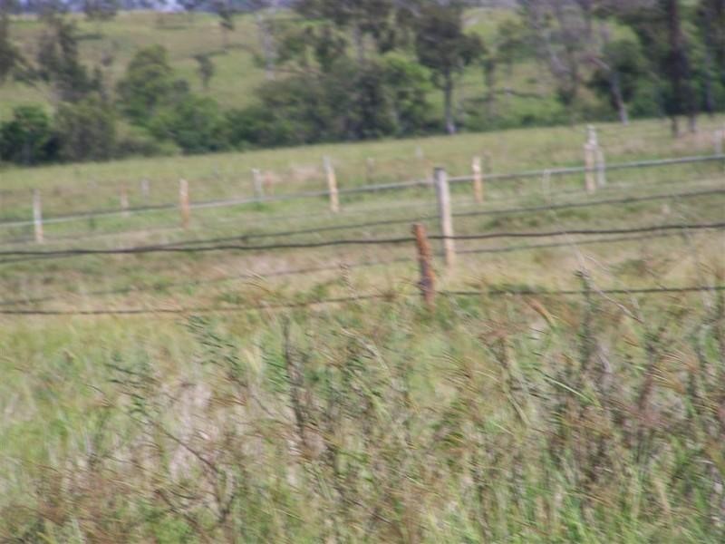 304 Kelly Road, Gracemere QLD 4702