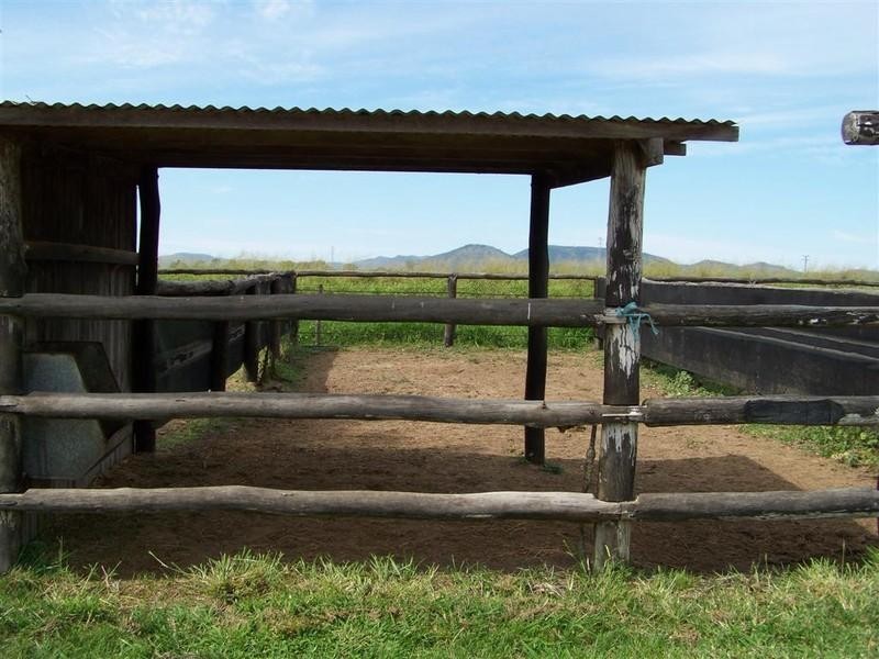 304 Kelly Road, Gracemere QLD 4702