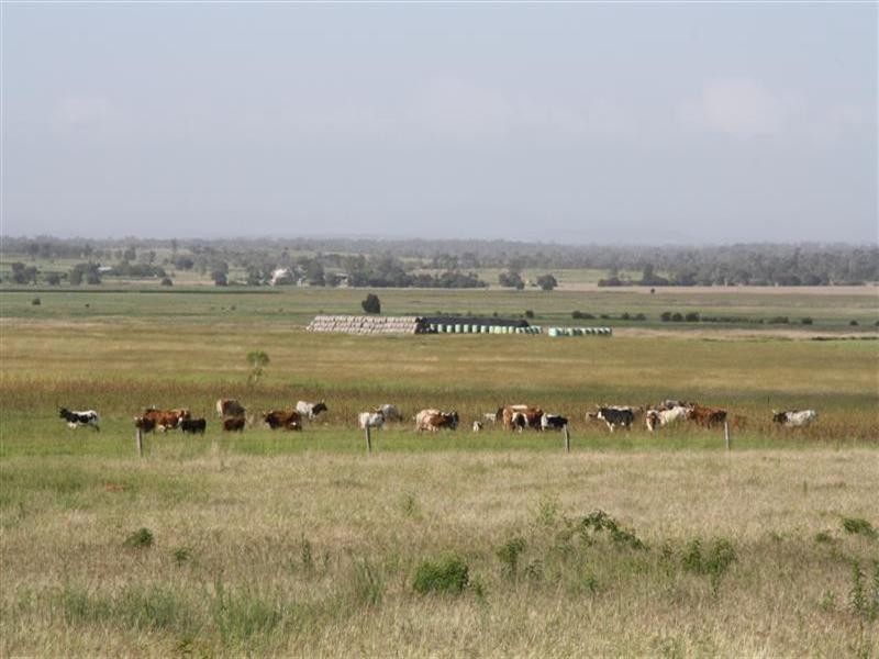 “Glendon” 159 Greiss Road, The Caves QLD 4702