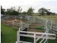 “Glendon” 159 Greiss Road, The Caves QLD 4702
