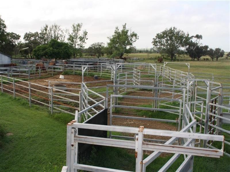 “Glendon” 159 Greiss Road, The Caves QLD 4702