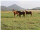 “Glendon” 159 Greiss Road, The Caves QLD 4702