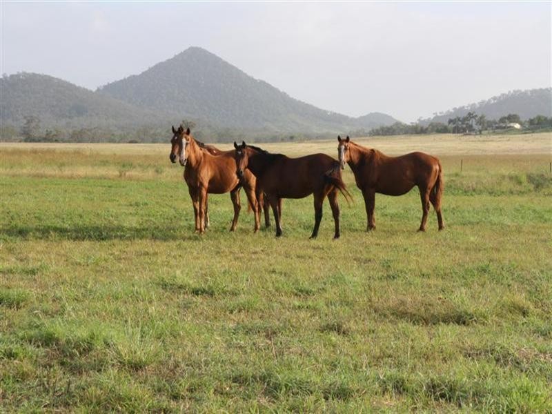 “Glendon” 159 Greiss Road, The Caves QLD 4702