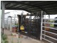 “Glendon” 159 Greiss Road, The Caves QLD 4702