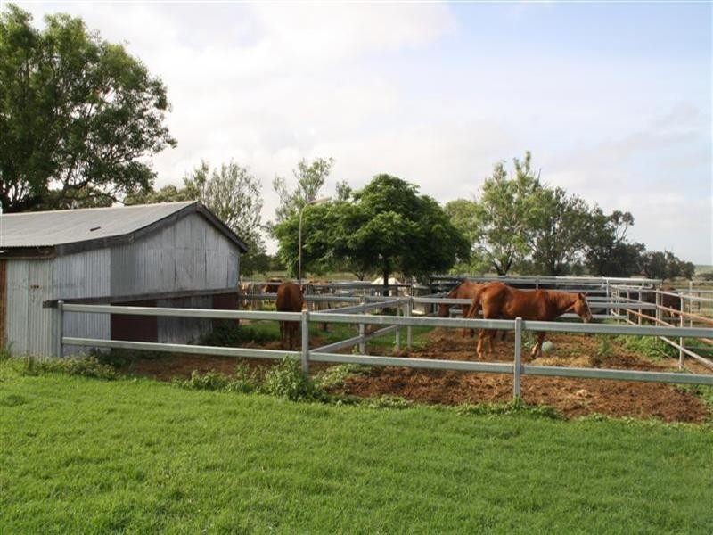 “Glendon” 159 Greiss Road, The Caves QLD 4702