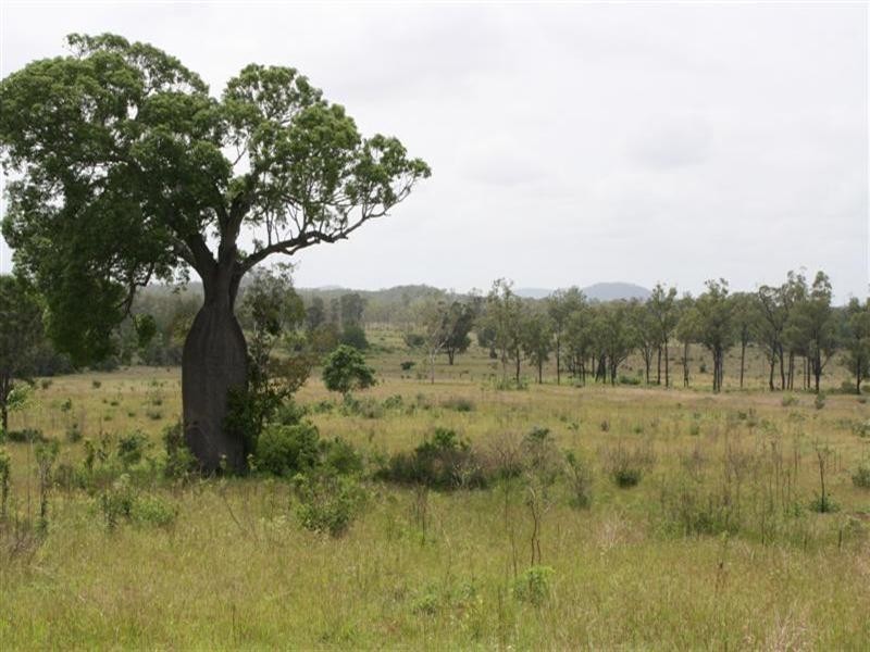 Glencoe and Weeroona, The Caves QLD 4702