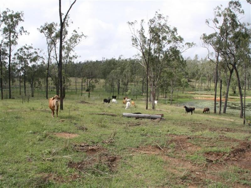 Glencoe and Weeroona, The Caves QLD 4702