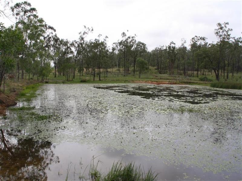 Glencoe and Weeroona, The Caves QLD 4702